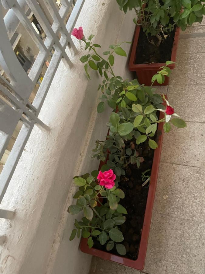 Central Cairo Hotel Bagian luar foto